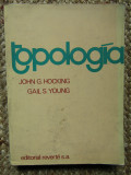 Topolog&iacute;a - John G. Hocking