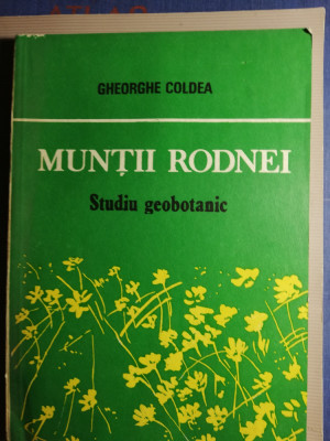 Munții rodnei studiu geobotanic foto