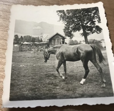 Fotografii Pojorata Suceava foto