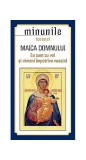 Minunile icoanei Maica Domnului - Paperback brosat - *** - Sophia