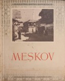 V.V. Meskov, Vera Ilchievici - Maestrii Artei Sovietice, 1949, Album Arta, Romana, Necartonata