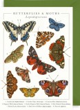 Felicitare British Butterflies | The Art File