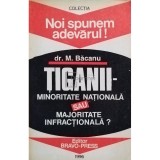M. Bacanu - Tiganii - minoritate nationala sau majoritate infractionala? (Editia: 1996)