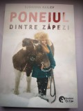 Poneiul dintre zapezi - Susanna Bailey