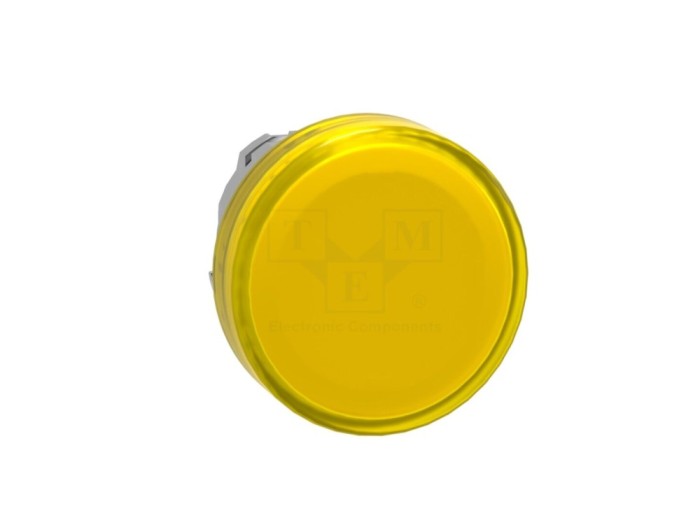 Lumină de Control XB4 22mm IP66