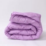 Cumpara ieftin Pilota de vara usoara Lila 150x210 cm, pat single