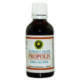 Extract propolis fara alcool 50ml hypericum, HYPERICUM IMPEX