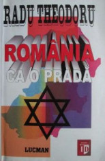 Romania ca o prada - Radu Theodoru foto