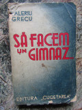 SA FACEM UN GIMNAZ. SCHITE SI NUVELE-VALERIU GRECU