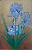 Lucrare / desen Flori / Irisi / Stanjenei, artist roman, semnat S.G.,ulei pe carton, 22 x 14 cm, f decorativ