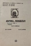 Cumpara ieftin Anatomia trunchiului vol.1 - 1991 - ST. D. Antohe (A229)