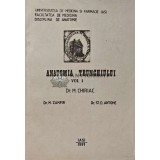 Anatomia trunchiului vol.1 - 1991 - ST. D. Antohe (A229)