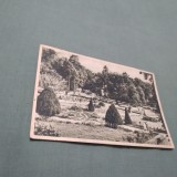 Cumpara ieftin CARTE POSTALA ORADEA -BAILE 1 MAI PARCUL CIRCULATA