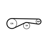 Curea distributie Audi A8 D3 (4E2, 4E8), Q7 (4LB) Motor 4.0 TDI quattro, 4.2 TDI quattro, dinti 83, 30 mm, OE 057109119F