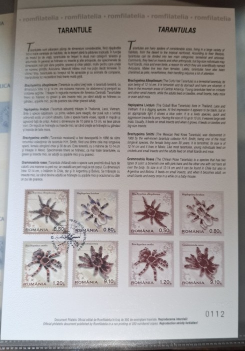 Romania MNH 2010 - Tarantule - carton filatelic - LP 1856 a
