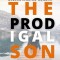 The Prodgial Son: Understanding Sonship