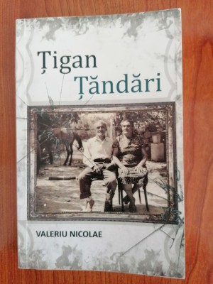 Valeriu Nicolae, Țigan țăndări foto