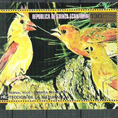 Eq. Guinea 1976 Birds of North America, perf. sheet, used M.010