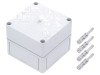 Carcasa Universala Rittal PK, Policarbonat, 110x110x90mm, IP66, Gri Deschis, NEMA 4X