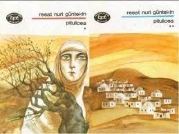 Resat Nuri Guntekin - Pitulicea ( vol. II ) foto