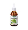 Extract de Boldo Bio 50ml Phyto Biopole