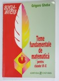 TEME FUNDAMENTALE DE MATEMATICA PENTRU CLASELE VI - X de GRIGORE GHEBA , 1998
