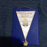 Fanion Fed. romana de Baschet