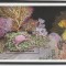 Grenada Grenadines 1990-Fauna,Crustacee ,Crabi,Colita dantelata,MNH,Mi.Bl.201