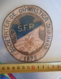 Emblema interbelica, Societatea de Gimnastica din Arad, 1879