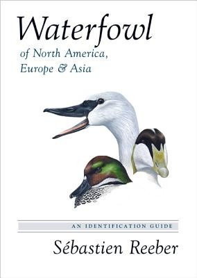 Waterfowl of North America, Europe, and Asia: An Identification Guide foto