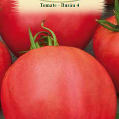 TOMATE BUZAU 4, 0.3g