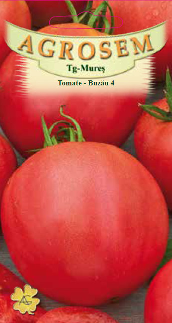 TOMATE BUZAU 4, 0.3g