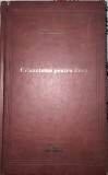 Crizanteme pentru Erna - Theodor Constantin