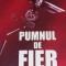 PUMNUL DE FIER DAN GIJU Confesiunile colonelului,,,,
