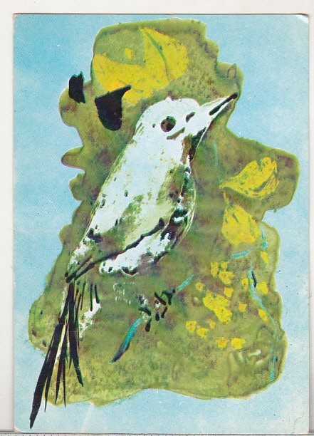 bnk cp Constantin Baciu - Ilustratie la Prisaca de T Arghezi - vedere necirculata