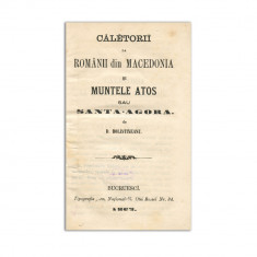 Dimitrie Bolintineanu, Călătorii la românii din Macedonia și Muntele Athos sau Sfânta Agora, 1863