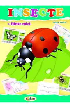 Insecte (mapa) - Inesa Tautu