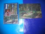 HOPCT LOT 2453 TEBEA/AVRAM IANCU-JUD HUNEDOARA-2 CARTI POSTALE-CIRCULATE