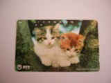 B11 15 - Carduri si cartele telefonice - Japonia - Pisici - piesa de colectie