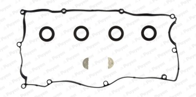 PAYEN HM5374 Set garnituri, Capac supape foto