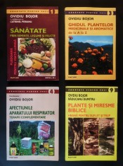 OVIDIU BOJOR &bull; Sanatate prin Seminte Legume Fructe &bull; Ghidul Plantelor Medicinale A-Z &bull; Afectiunile Aparatului Respirator &bull; Plante si Miresme Biblice