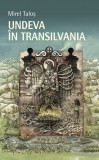 Undeva in Transilvania - Editura RAO