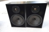 Boxe Canton Fonum 300