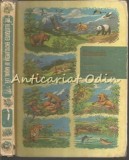 Enciclopedia Ilustrata Animal Life I, George Goodwin, Mammals, Greystone, Engleza, Cartonata, Animale