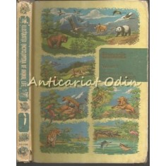 The Illustrated Encyclopedia Of Animal Life I - George G. Goodwin