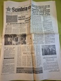 Scanteia 10 ianuarie 1978-albumul despre nadia comaneci,sangeorz bai