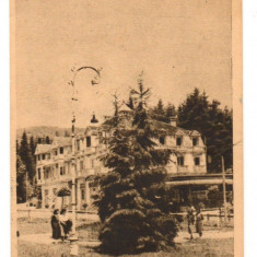 CPI B13809 CARTE POSTALA - SOVATA, VEDERE, RPR, 1955