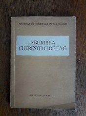 Aburirea cherestelei de fag , manual tehnic 1952, stare buna
