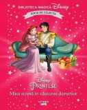 Mica sirena in cautarea darurilor. Biblioteca magica Disney - Litera