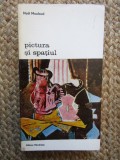 Pictura si spatiul - Noel Mouloud